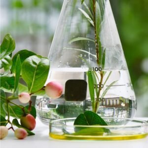 Organic Chemicals